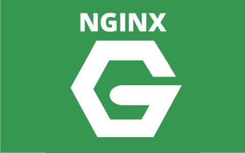 مزيد من المعلومات حول "تنصيب، إعداد واستخدام nginx كخادوم ويب"