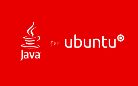 java-for-ubuntu.thumb.png.c89dcb53cd202a