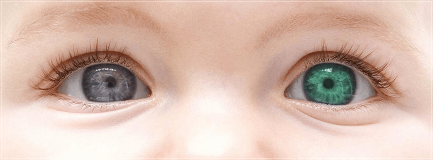 تغيير لون العينين باستخدام فوتوشوب - أدوبي فوتوشوب ...