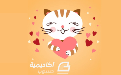 Adobe Illustrator Adobe Illustrator
