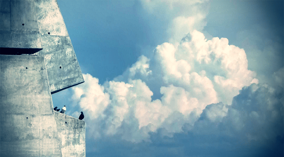 gif___small_birds_big_clouds_by_turst67-d6h7eme.gif