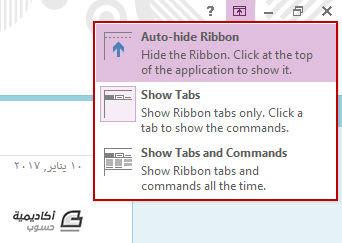 4-show ribbon options.png