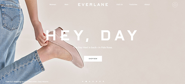 13_Everlane-User-Friendly-Website-Concept.jpg