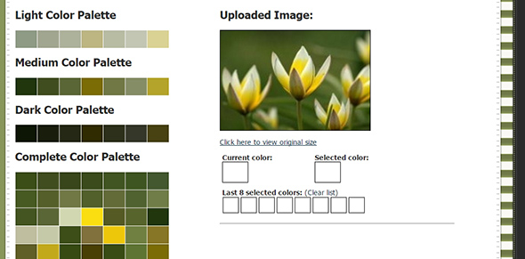 18_CSS-Drive-Image-to-Colors-Palette-Generator.jpg