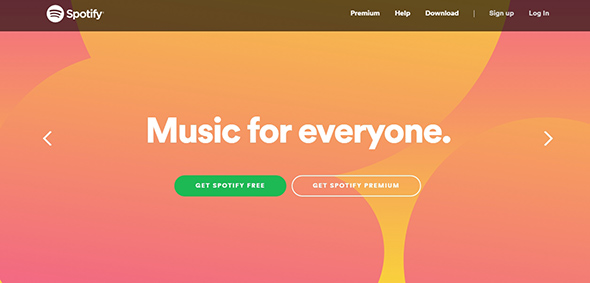 28_Spotify-User-Friendly-Website-Concept.jpg