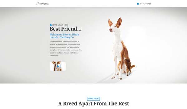 4_Marketing-Experience-Challenge-Sikora-Ibizan-Hounds-by-Brandon-Termini-for-Handsome.jpg