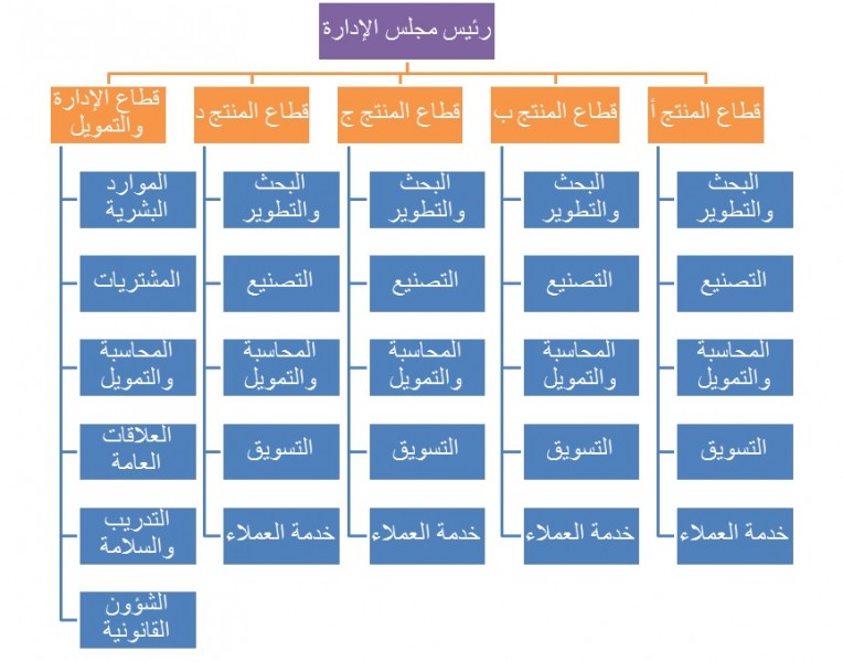 Divisional Organization Structure.jpg
