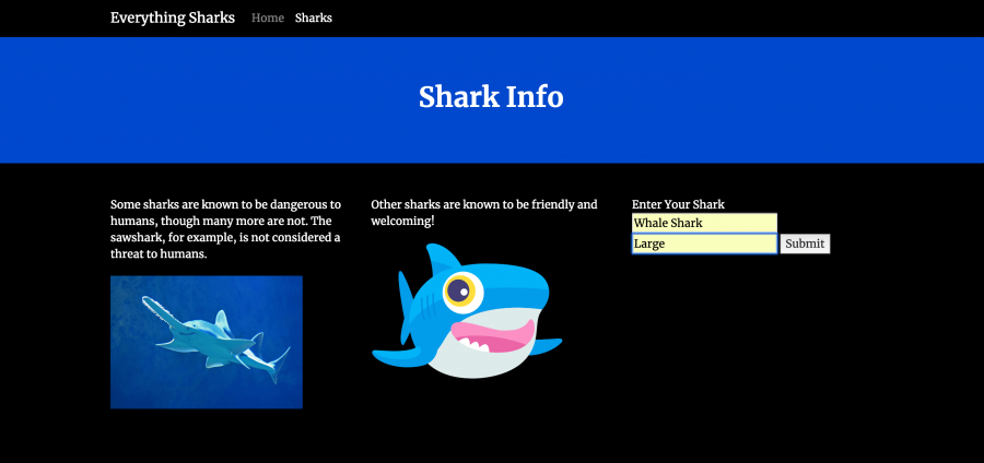 whale_shark.png