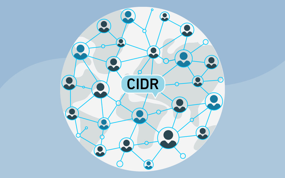 مزيد من المعلومات حول "دليل الربط الشبكي في ترميز CIDR وضبطه في لينكس"