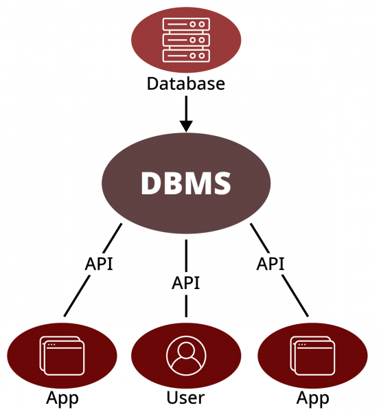 مفهوم DBMS
