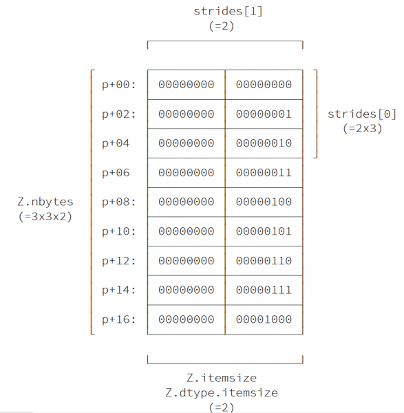 تخطيط الذاكرة Memory layout (C order, big endian)‎