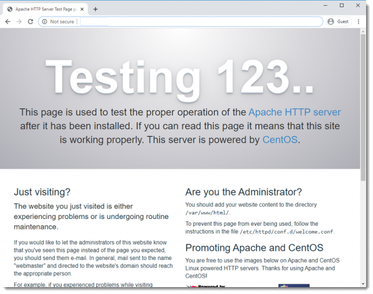 linux-centos7-installing-Apache-web-server-09-webpage-ok.png