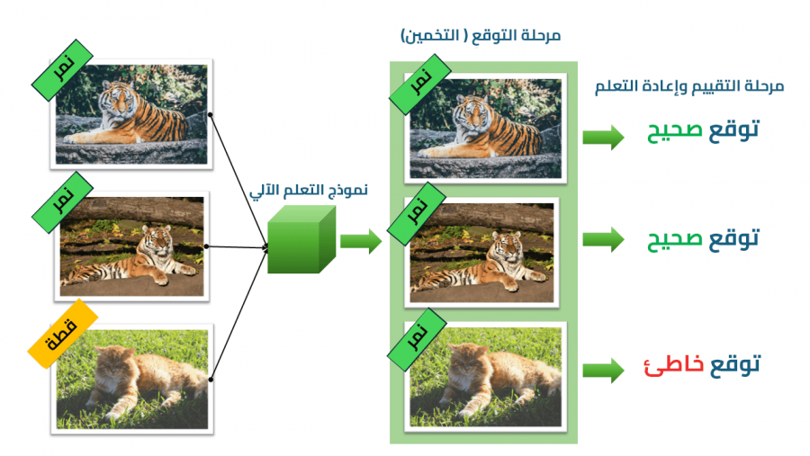 supervised_learning(1).png