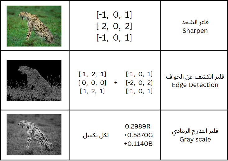 003 تطبيق فلاتر على الصورة.png