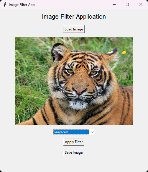 004 واجهة تطبيق بايثون.png