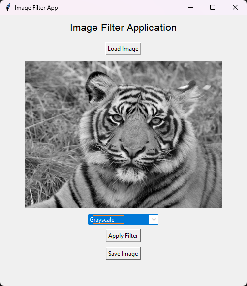 005 فلتر تدرج الرمادي.png