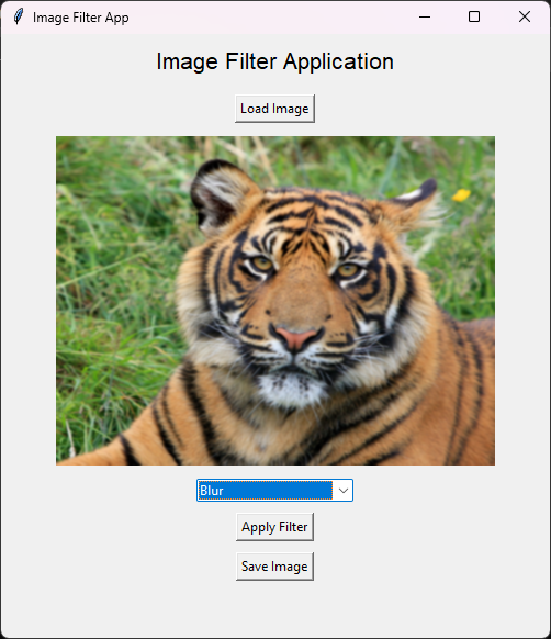 006 فلتر التغبيش.png
