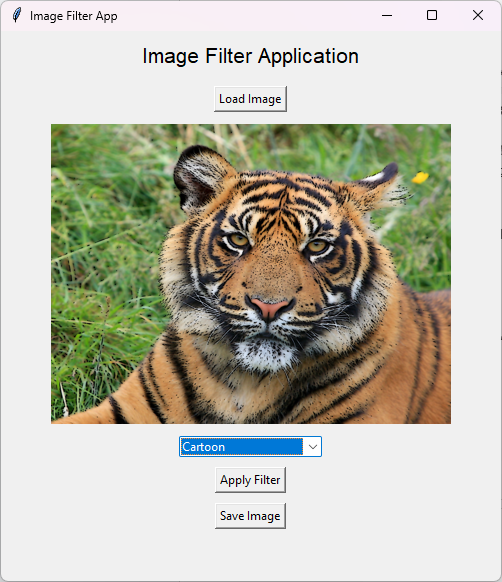 008 فلتر الرسم الكرتوني.png