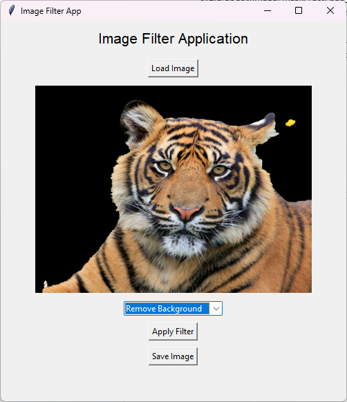 009 فلتر إزالة الخلفية.png