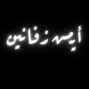 أيمن زفانين