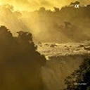 محمد السليفاني